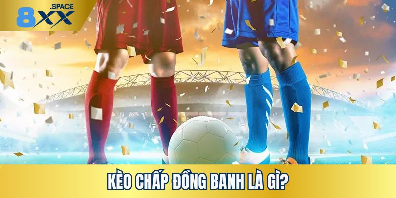Kèo chấp đồng banh 8XX phân tích kèo chấp đồng banh là gì cho mọi người