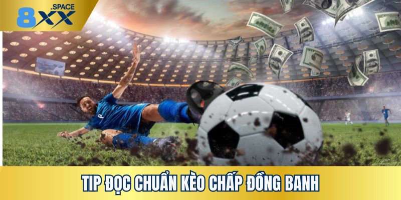 Kèo chấp đồng banh Tổng hợp kiểu đọc tỷ lệ kèo chấp đồng banh cực chuẩn đơn giản nhất